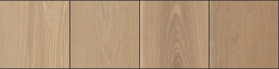 European Ash - Wire Brushed Hardwoods Flooring in Carnival